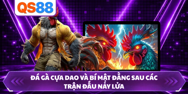 Đá Gà Cựa Dao Và Bí Mật Đằng Sau Các Trận Đấu Nảy Lửa