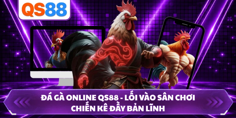 Đá Gà Online QS88 - Lối Vào Sân Chơi Chiến Kê Đầy Bản Lĩnh