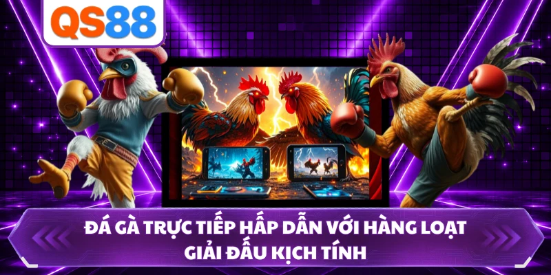 Đá Gà Trực Tiếp Hấp Dẫn Với Hàng Loạt Giải Đấu Kịch Tính