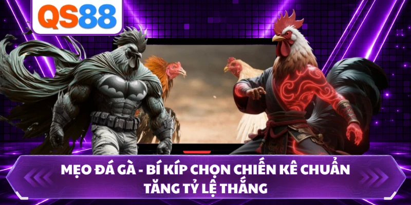 Mẹo Đá Gà - Bí Kíp Chọn Chiến Kê Chuẩn Tăng Tỷ Lệ Thắng