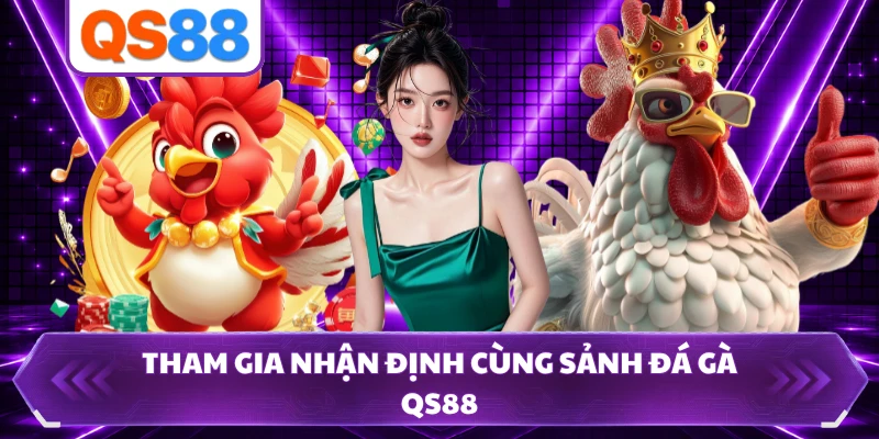 Tham gia nhận định cùng sảnh đá gà QS88